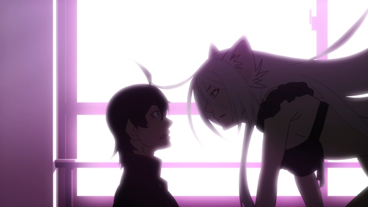 Nekomonogatari (Black)